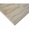 Valueply Non-Structural Plywood Untreated 2400 × 1200 × 21mm
