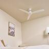 DC Ceiling Fan