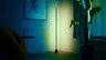 Entertainment Floor Pole Light 40W Black