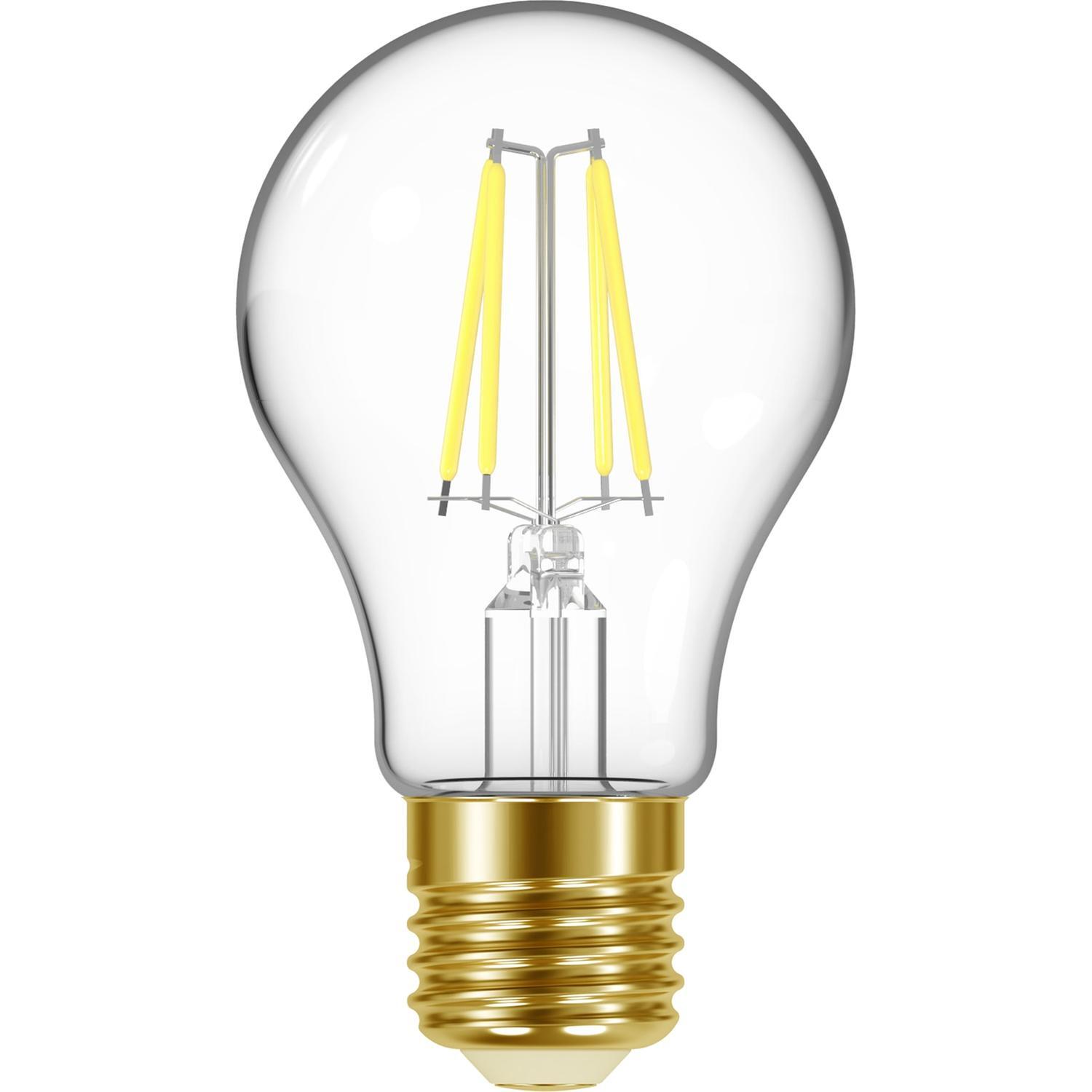 LED Classic GLS Filament