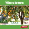 Lime Sulfur Fungicide