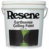 Ceiling paint 10L