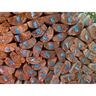 Contoured Palings Edged Half Rounds H:2.55m L:1.25m W:55mm Natural 125 x 55 x 2550mm Natural