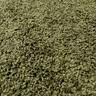 Alba 200x290cm Olive Rug