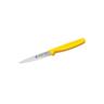 Paring Knife
