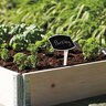 Raised Garden Bed