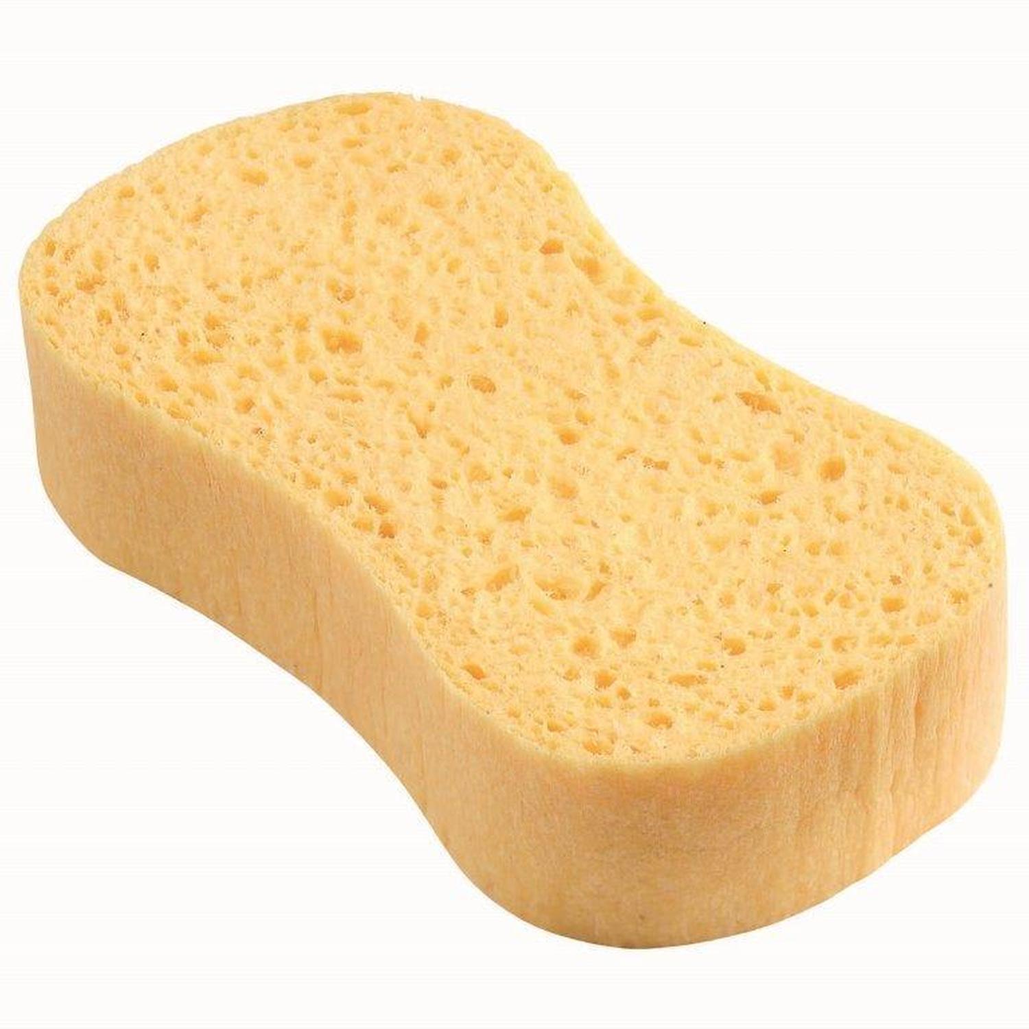Sponge