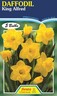 Daffodil King Alfred 5 Pack