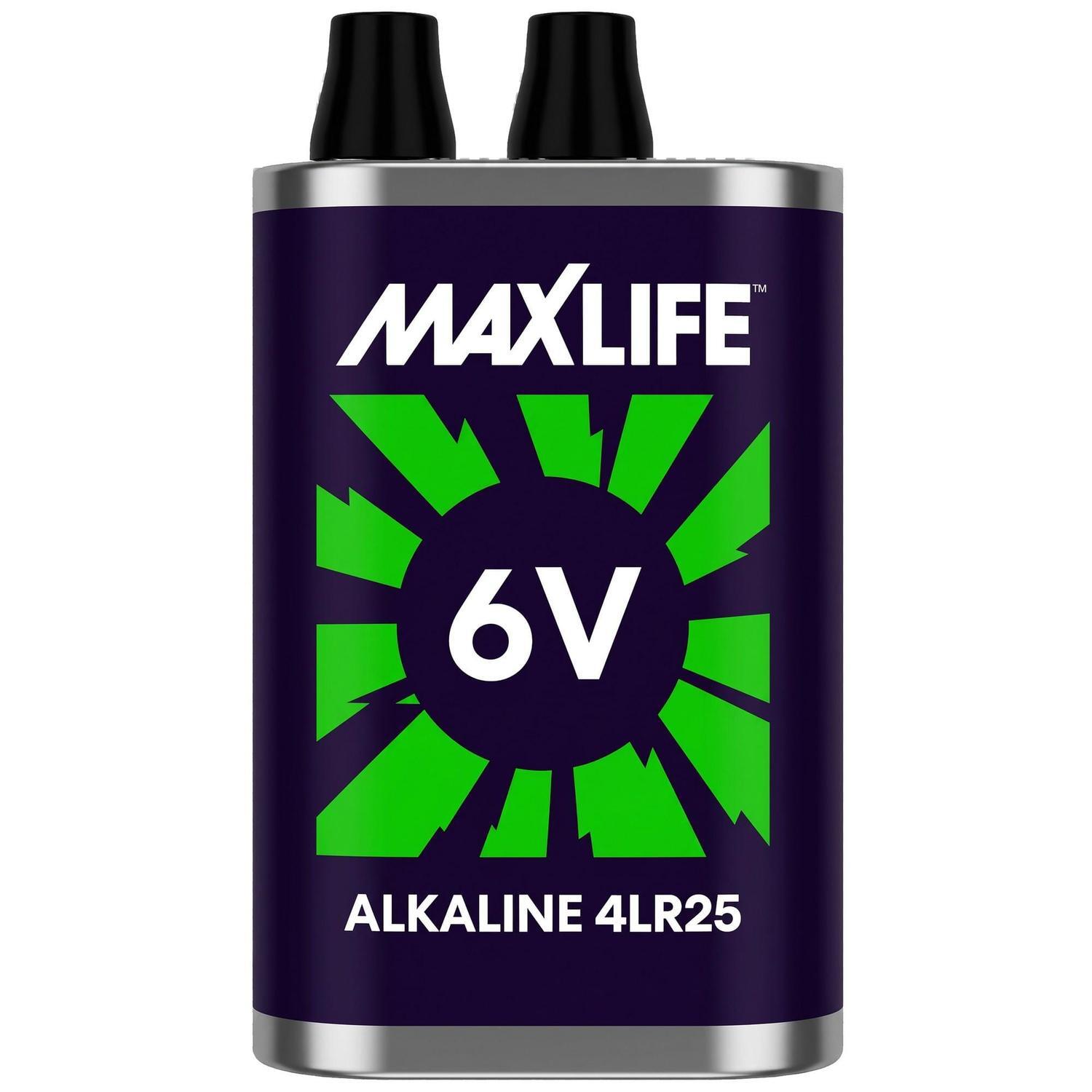 Alkaline Battery