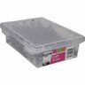 Flat Head Nails 100 x 4.0mm 2kg Bright