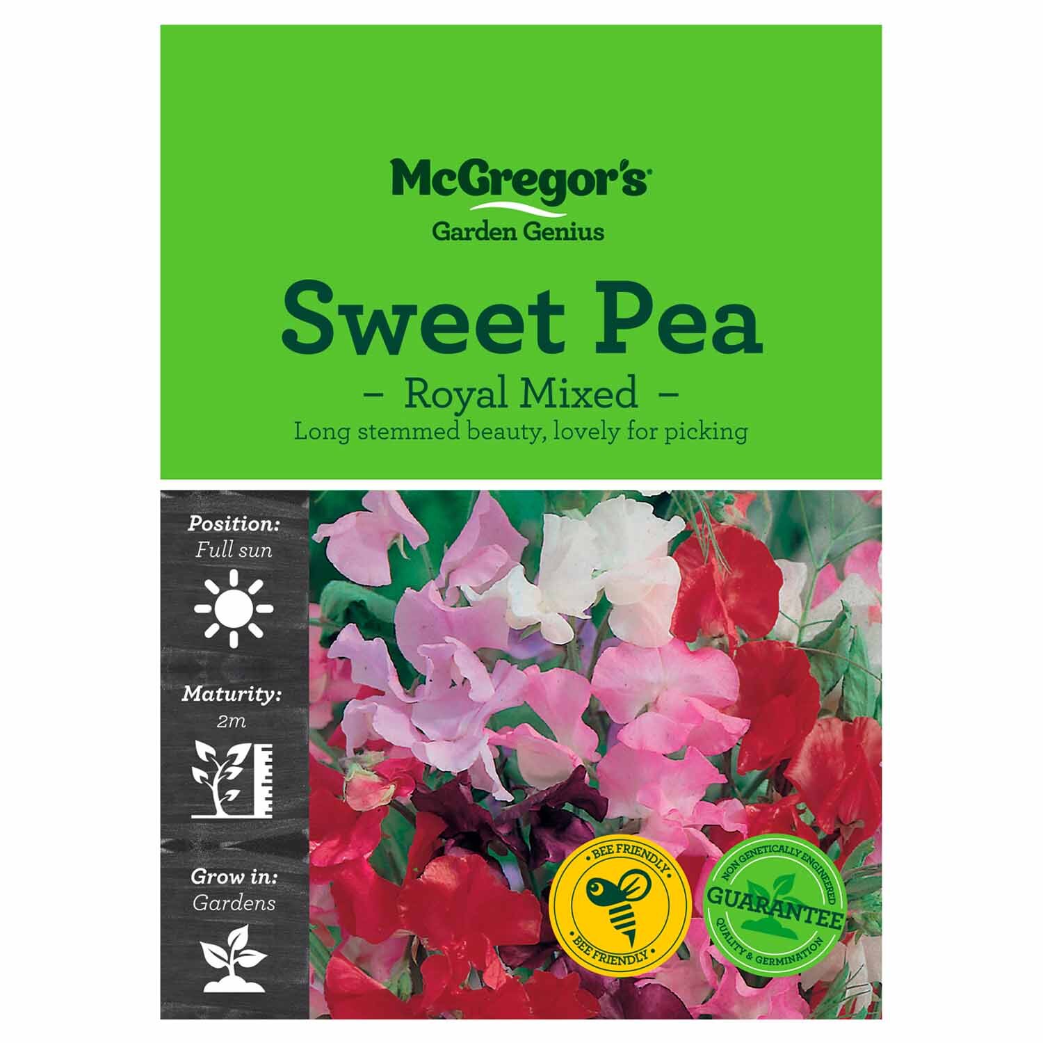 Royal Mixed Sweet Pea  Flower Seed