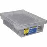 Clout Nails 30 x 2.5mm 2kg Galvanised