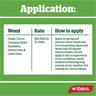 Hydrocotyle Killer