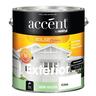 Exterior Paint