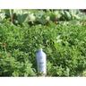 Liquid Fish Fertiliser 1 litre