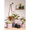 Indoor Solido Cup Pot Pink 15cm 136 x 149 x 149mm