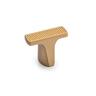 Fusion Cabinet Knob Matte Gold Finish