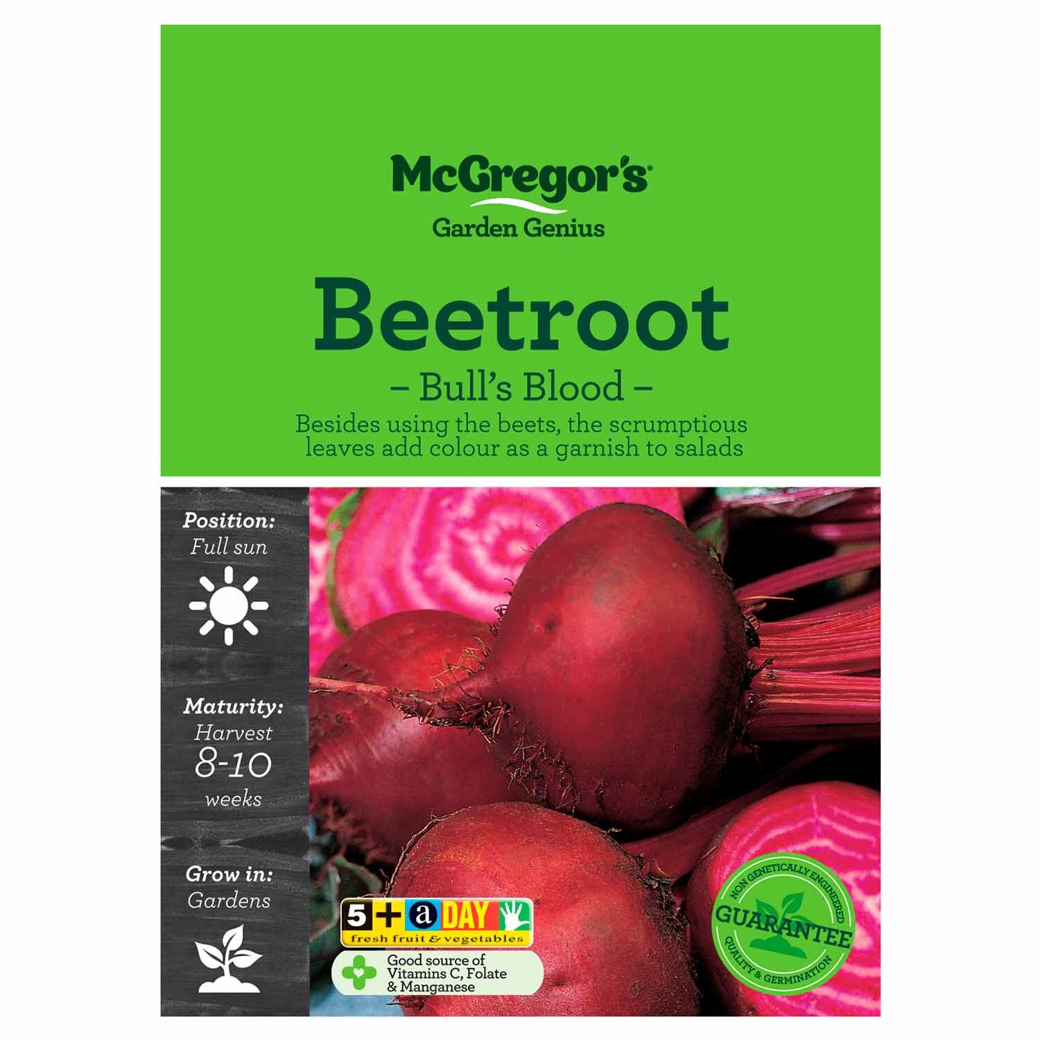 Bulls Blood Beetroot  Vegetable Seed