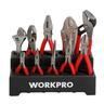 Pliers and Wrench Set 10 piece