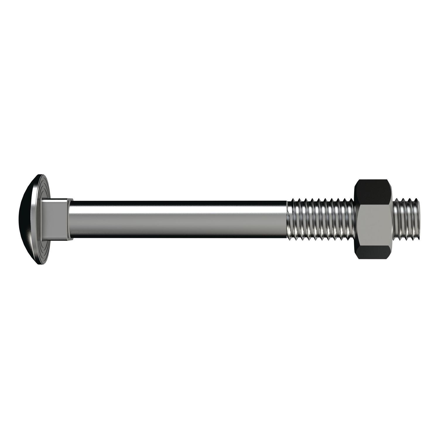 Coach Bolts & Nuts