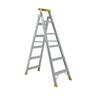 Dual Purpose Ladder