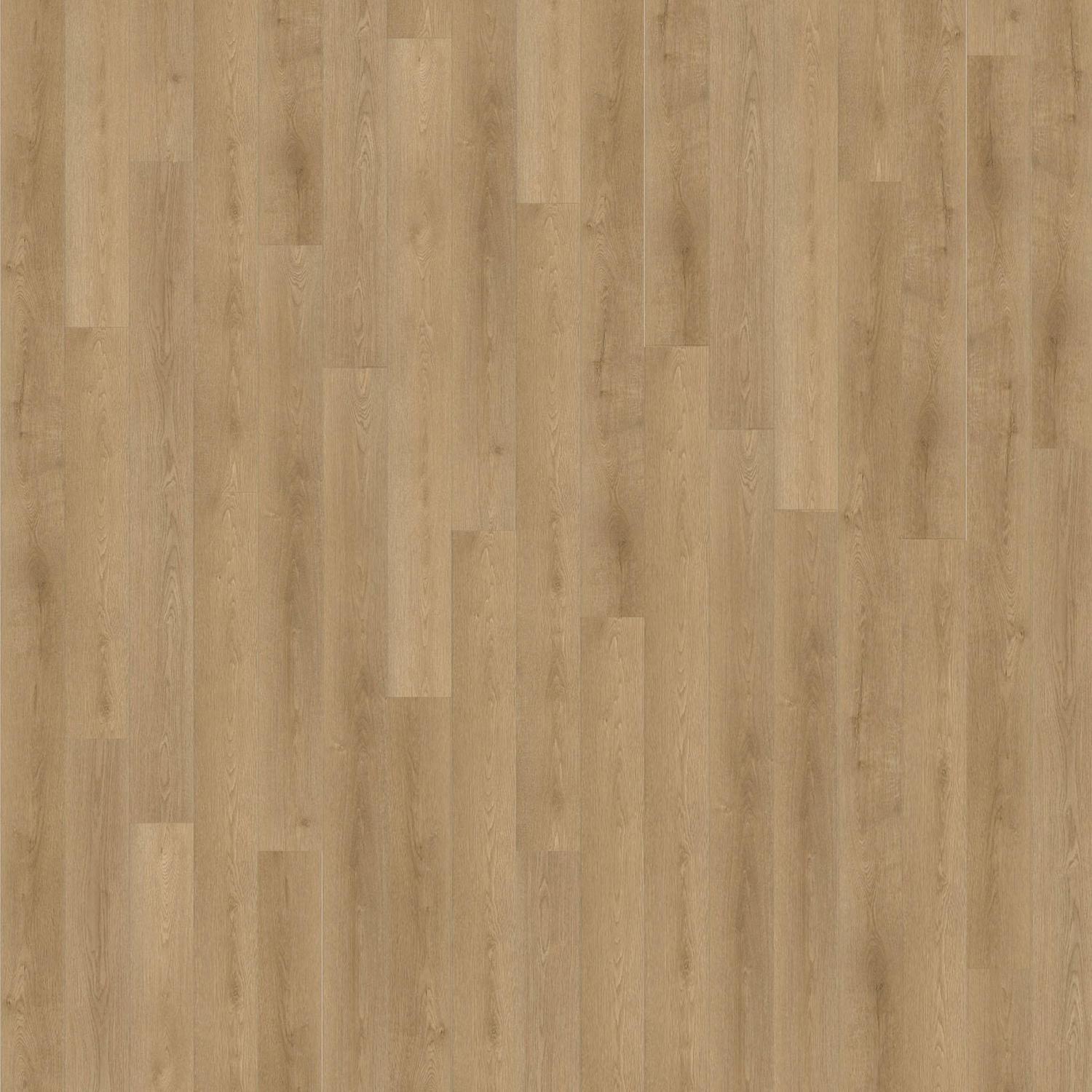 Laminate Flooring L: 1218mm x W: 197: mm x D: 8 mm Warm Alba