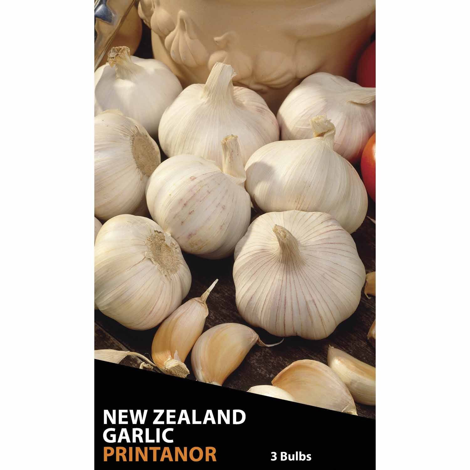 NZ Garlic Printanor