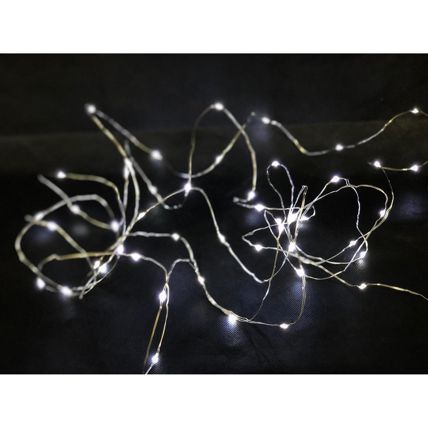 Battery Seed Light
