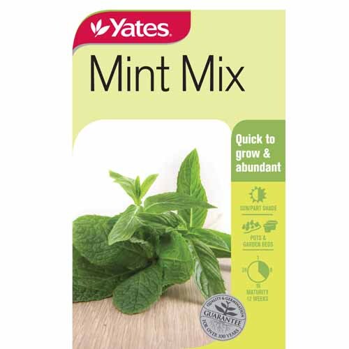 Mint Mix
