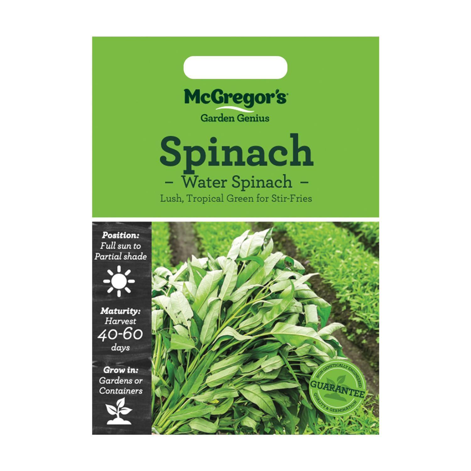 Water Spinach Vegetable Seed