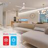 Ceiling Fan 1200mm White