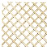 Unframed Diagonal Trellis 1800 x 1200mm