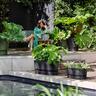 Plastic Trough with Saucer Black 50cm