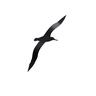 Kiwiana Metal Fantail Stake 130cm