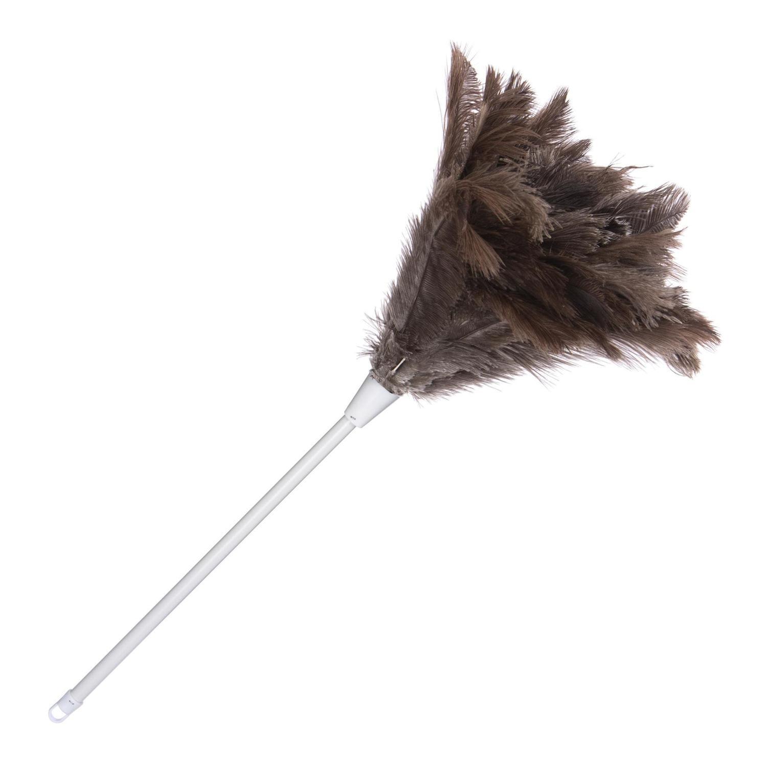 Ostrich Feather Duster