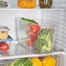 Storage Bin with Dividers 355 x 152mm Clear