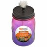 Oil Burner