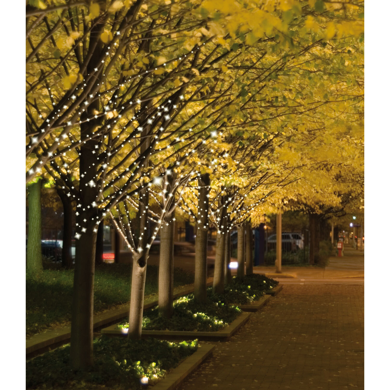 Solar LED 4 Branch String Light