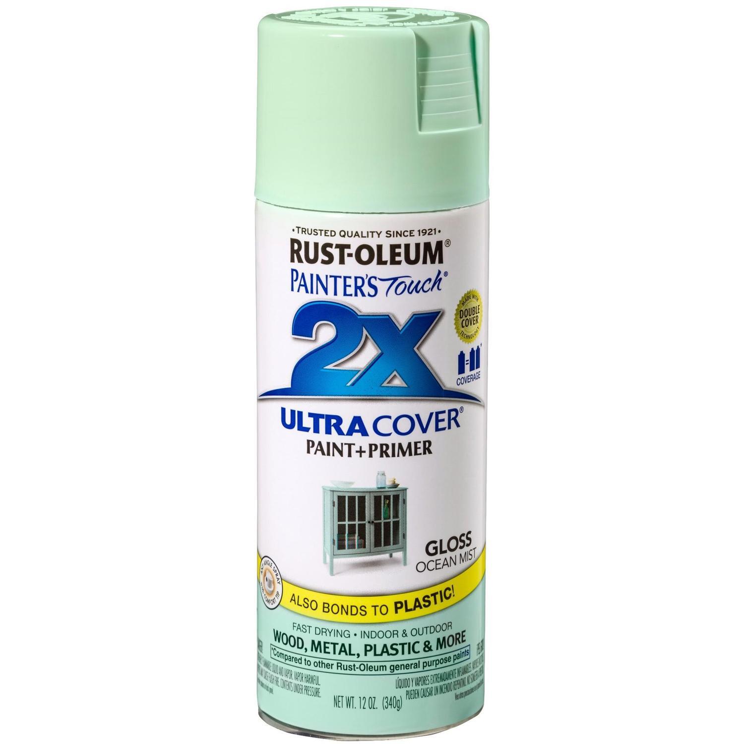 Gloss Spray Paint & Primer