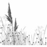 Splashback Toi Toi H: 750mm, W: 900mm Multi