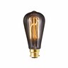 Carbon Filament Lamp 40 Watt Warm White