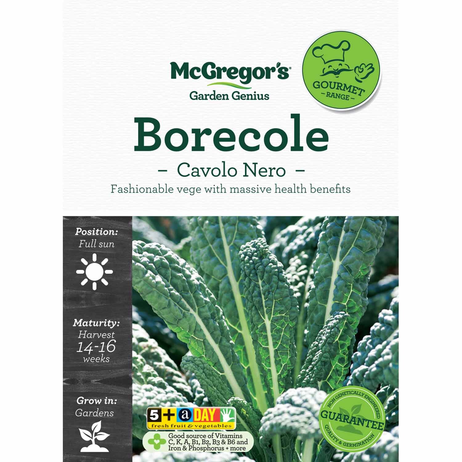 Borecole Seeds