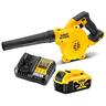 XR Blower Kit - 5.0Ah   18 volt