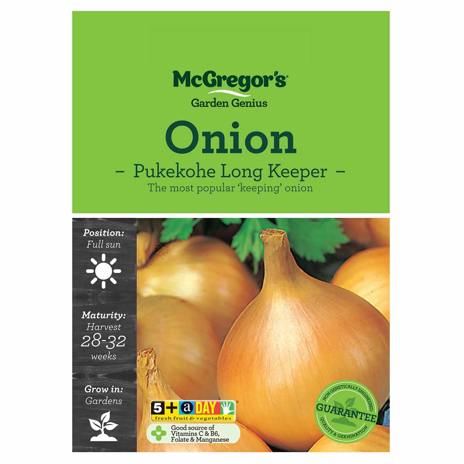 Pukekohe Long Keeper Onion  Vegetable Seed
