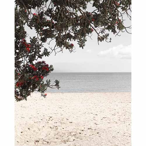 Splashback Summer Beach