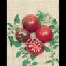 Tomato Heirloom Black Krim