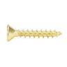 Hinge Screws