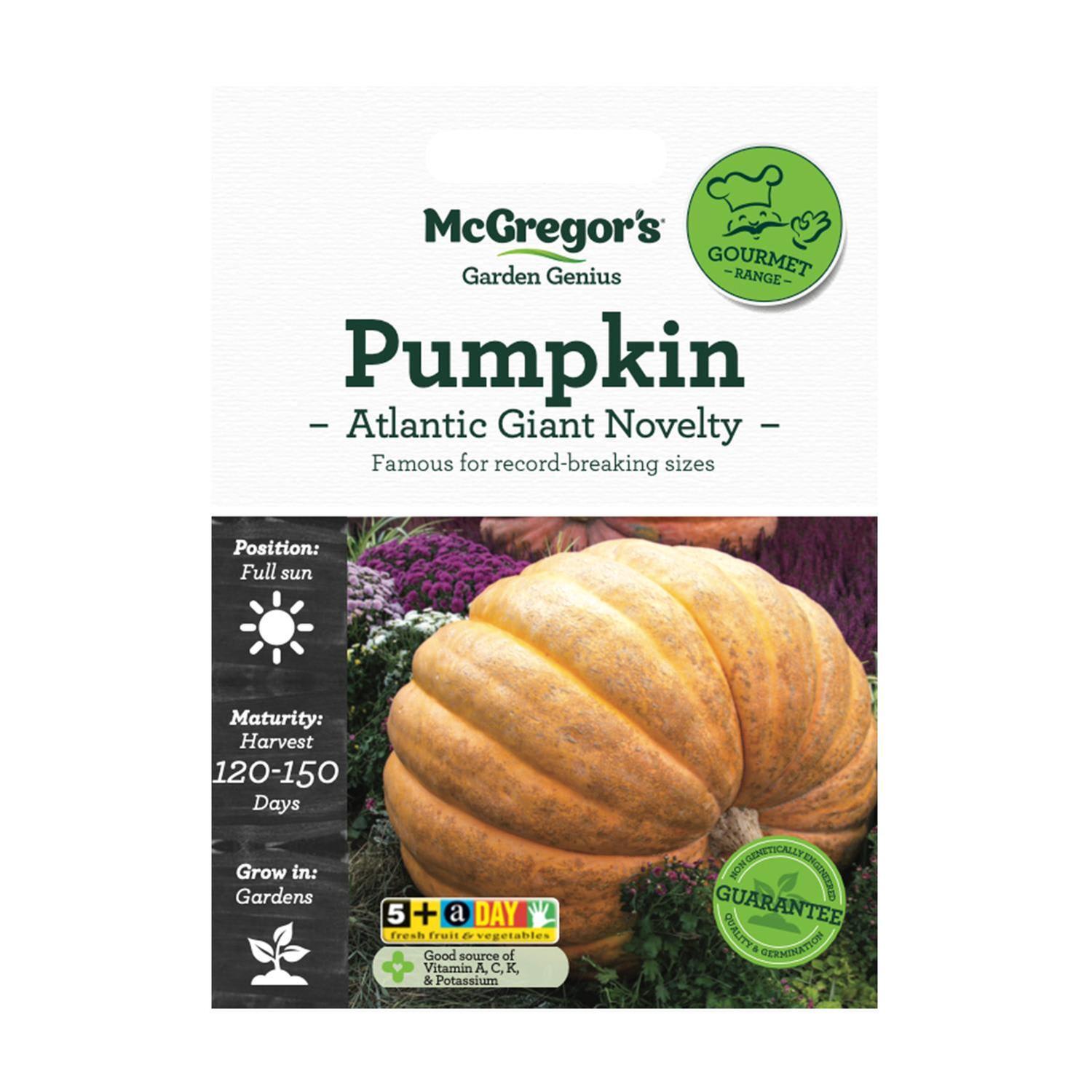Pumpkin Atlantc Giant Novelty Seed