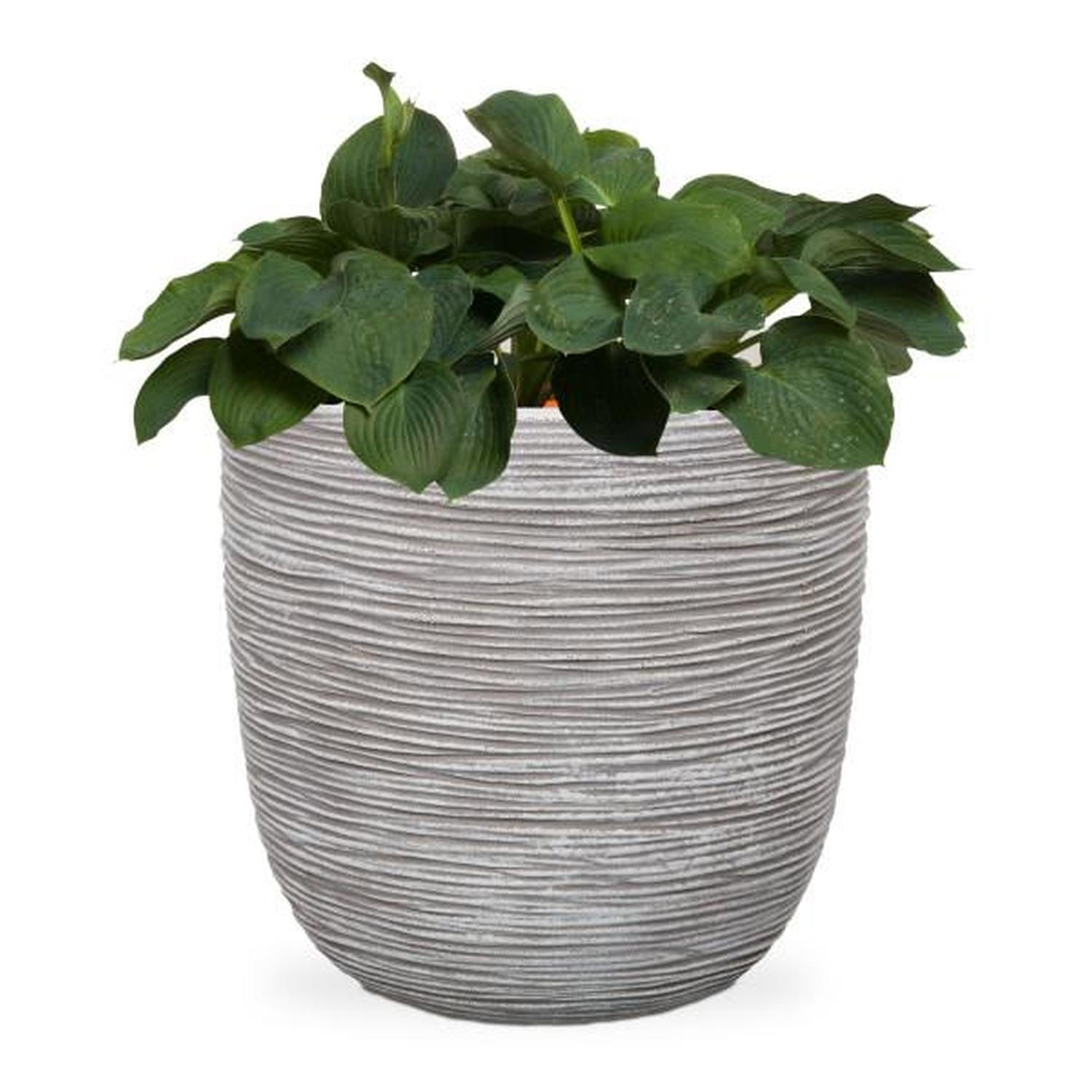 Lightweight Rib Egg Pot Ivory M