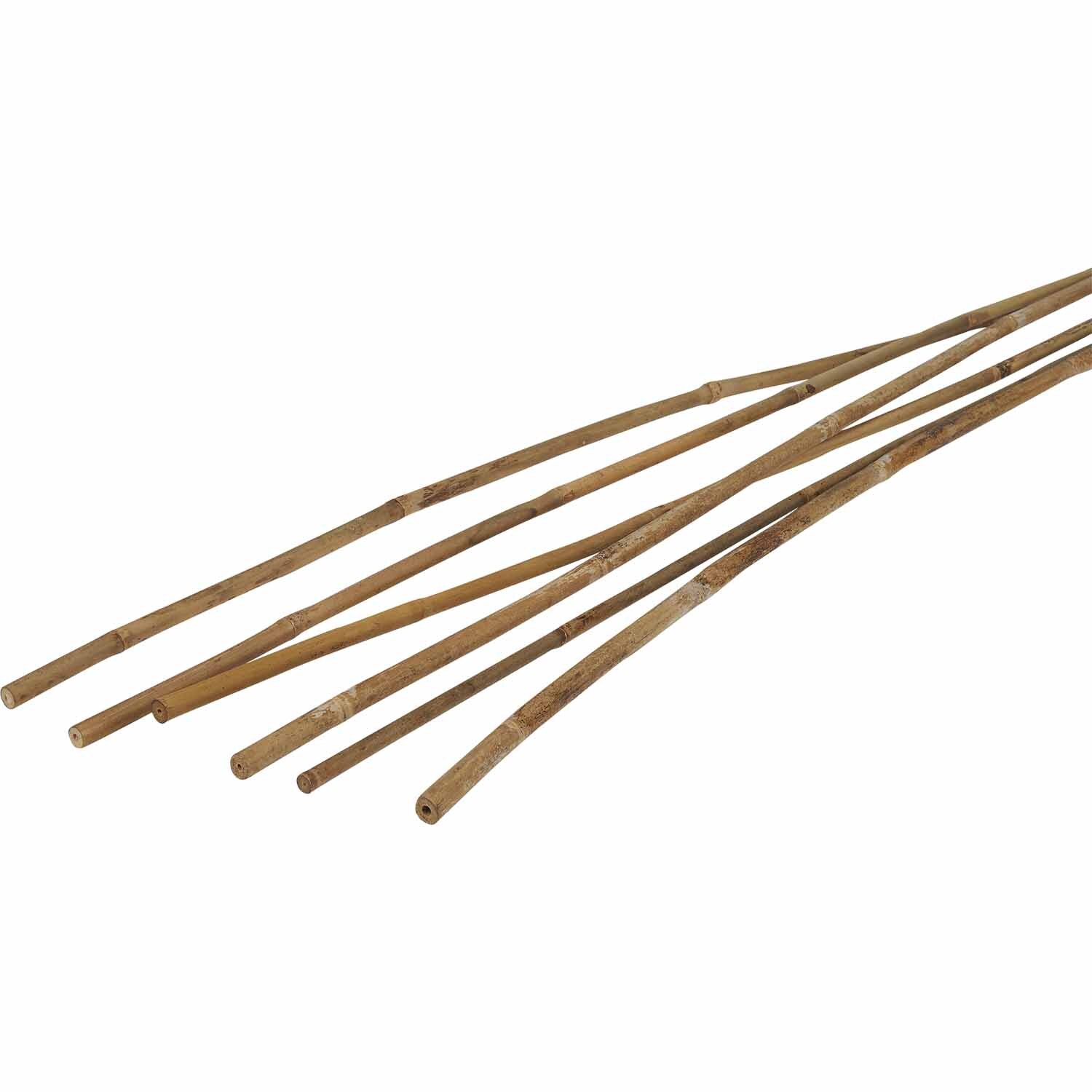 Bamboo Cane Garden Stakes